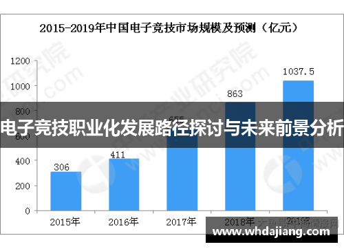 电子竞技职业化发展路径探讨与未来前景分析 电子竞技职业化发展路径探讨与未来前景分析