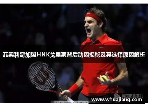 菲奥利奇加盟HNK戈里察背后动因揭秘及其选择原因解析